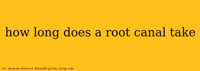 how long does a root canal take