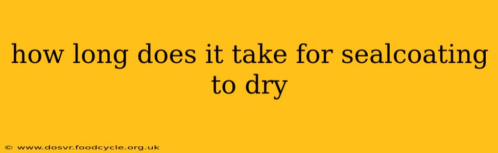 how long does it take for sealcoating to dry