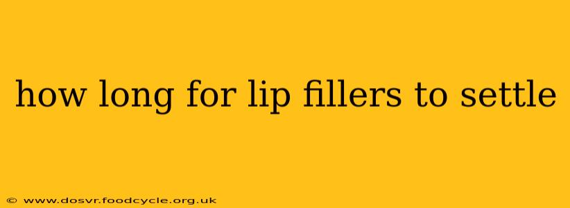 how long for lip fillers to settle