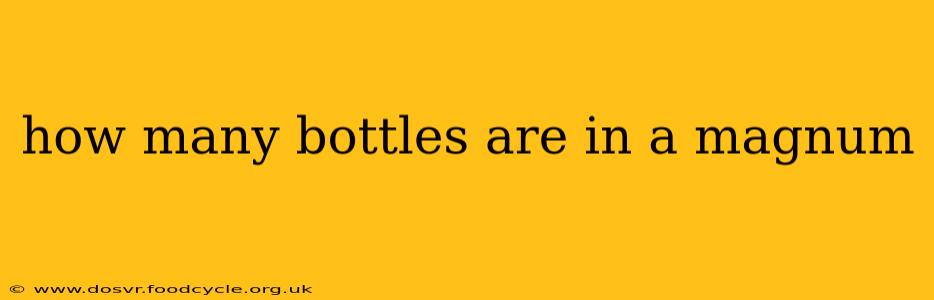 how many bottles are in a magnum