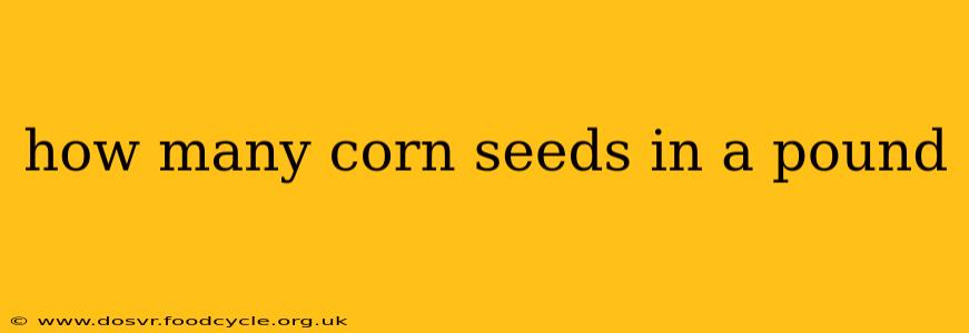 how many corn seeds in a pound