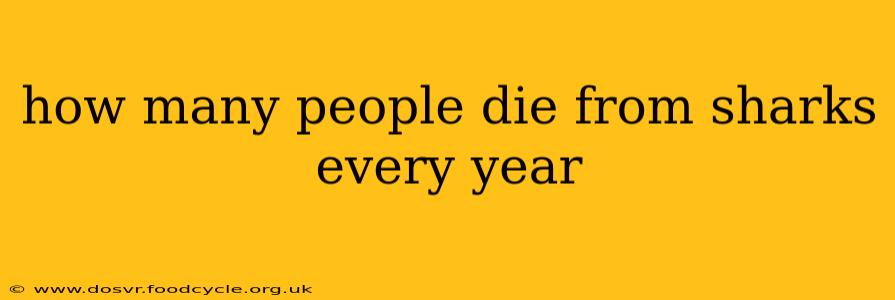how many people die from sharks every year