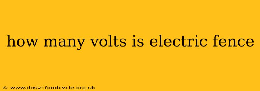 how many volts is electric fence