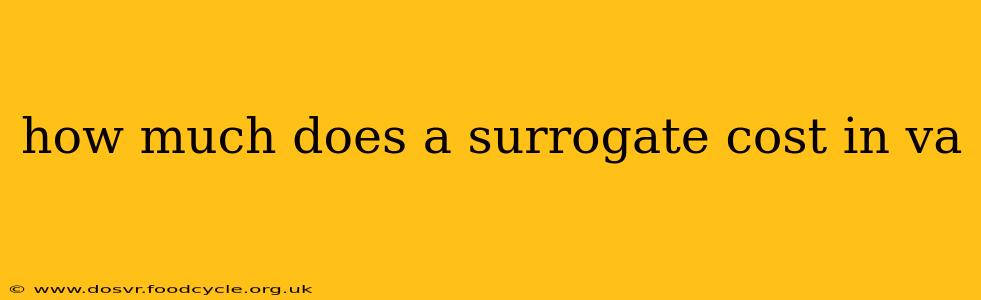 how much does a surrogate cost in va