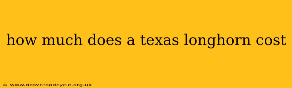 how much does a texas longhorn cost