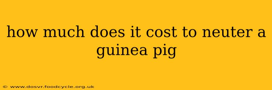 how much does it cost to neuter a guinea pig