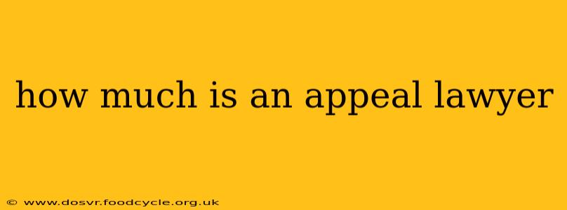 how much is an appeal lawyer