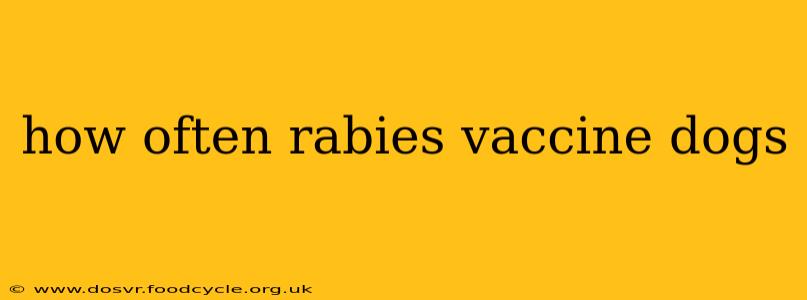how often rabies vaccine dogs