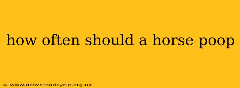 how often should a horse poop