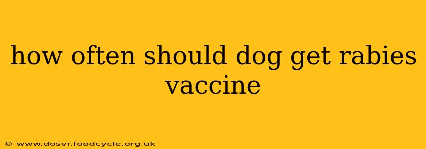 how often should dog get rabies vaccine