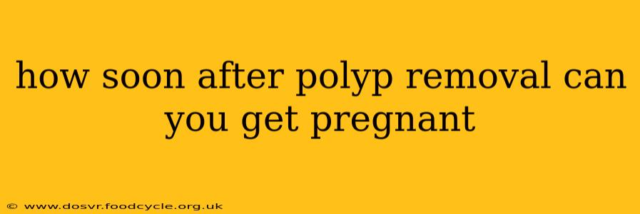 how soon after polyp removal can you get pregnant