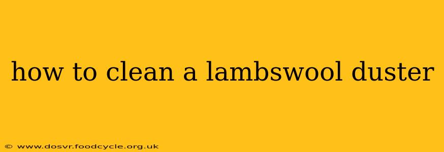how to clean a lambswool duster