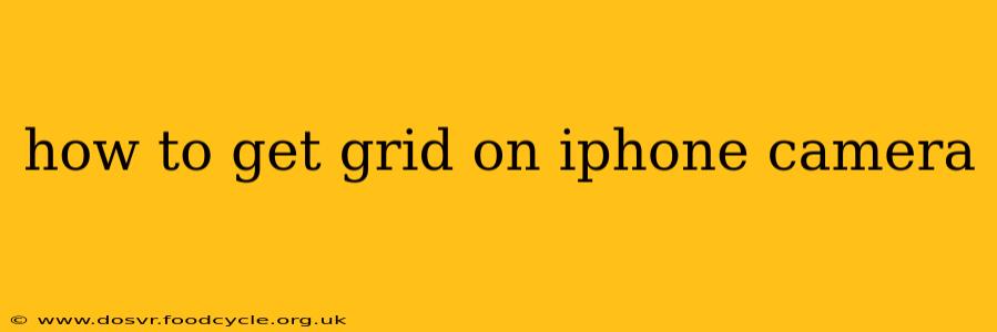 how to get grid on iphone camera