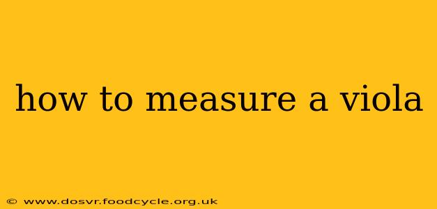 how to measure a viola