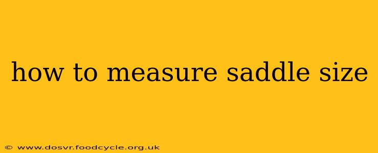 how to measure saddle size