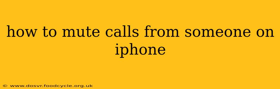 how to mute calls from someone on iphone