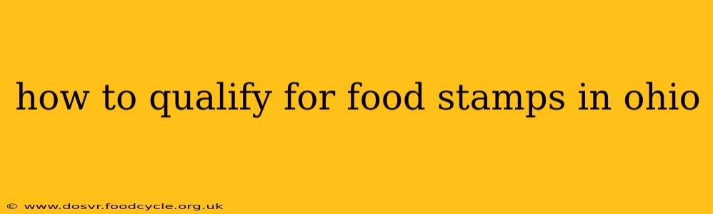 how to qualify for food stamps in ohio