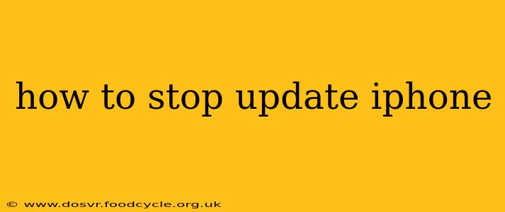 how to stop update iphone