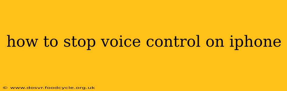 how to stop voice control on iphone