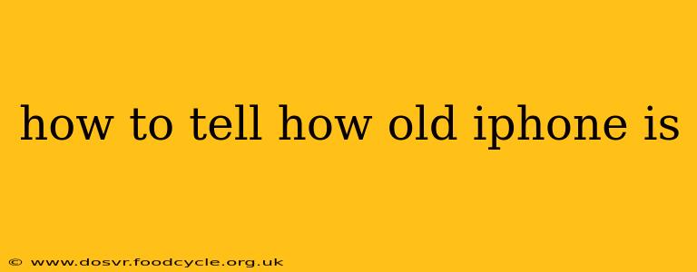 how to tell how old iphone is