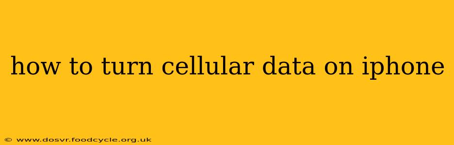 how to turn cellular data on iphone