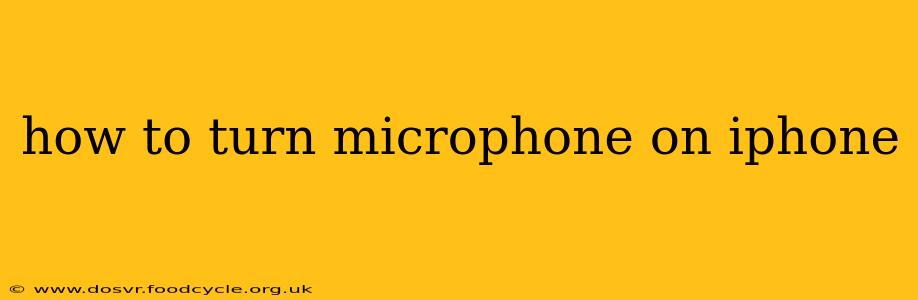 how to turn microphone on iphone