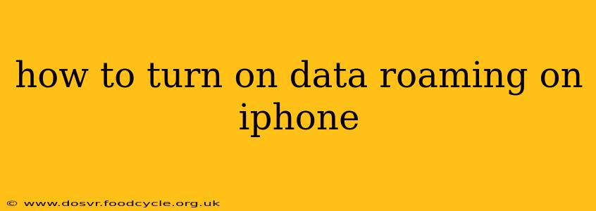 how to turn on data roaming on iphone