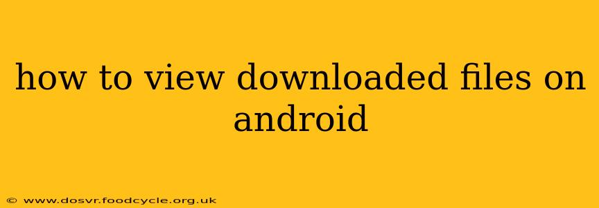how to view downloaded files on android