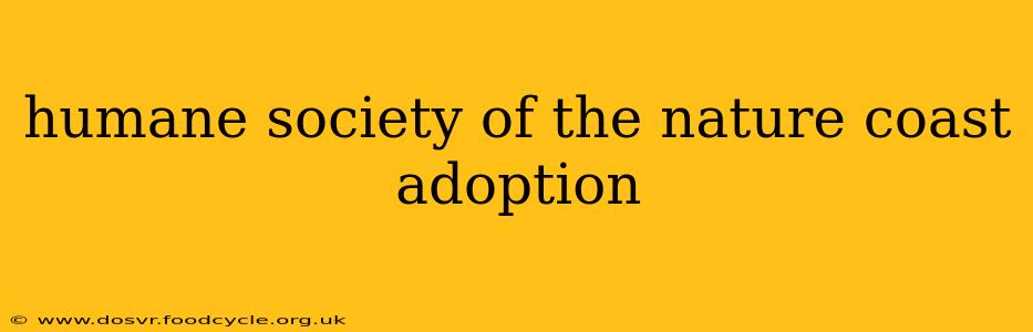 humane society of the nature coast adoption