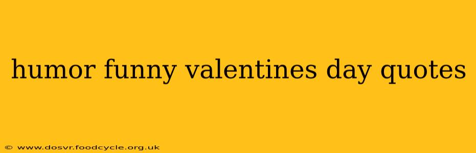 humor funny valentines day quotes