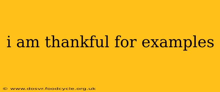 i am thankful for examples