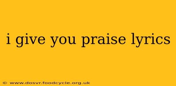 i give you praise lyrics