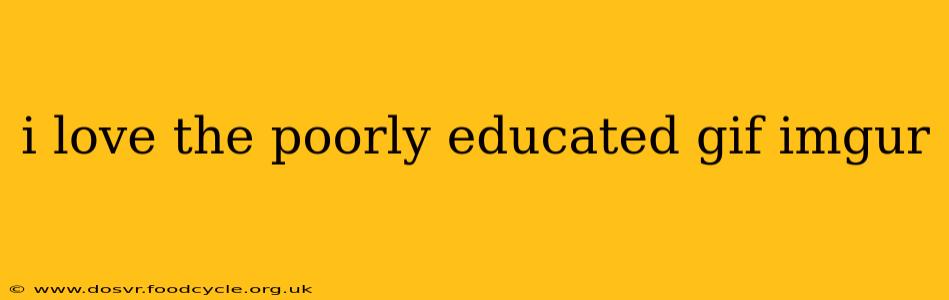 i love the poorly educated gif imgur