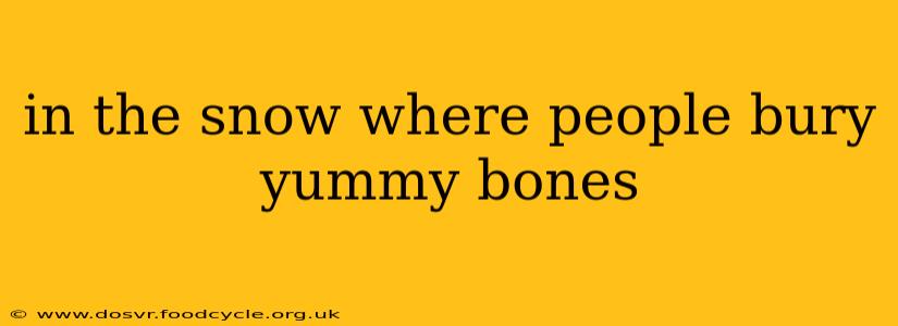 in the snow where people bury yummy bones