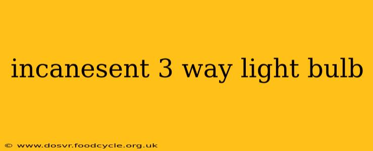 incanesent 3 way light bulb