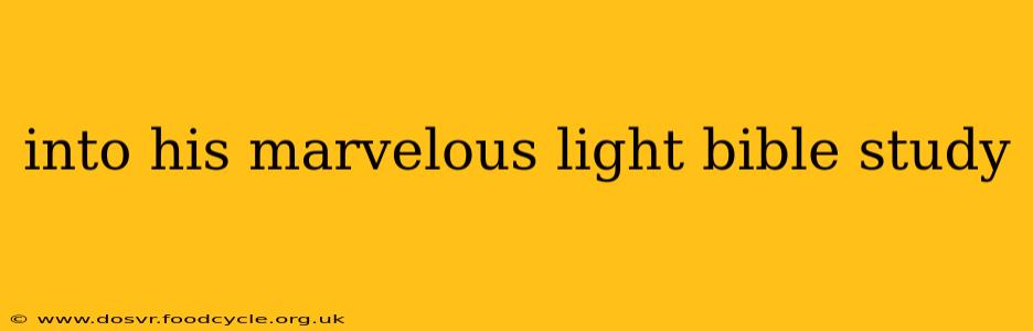 into his marvelous light bible study