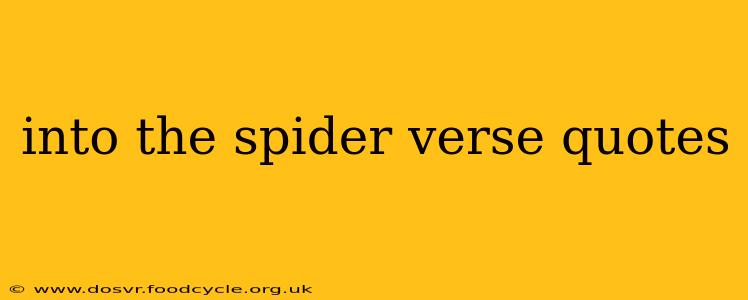 into the spider verse quotes