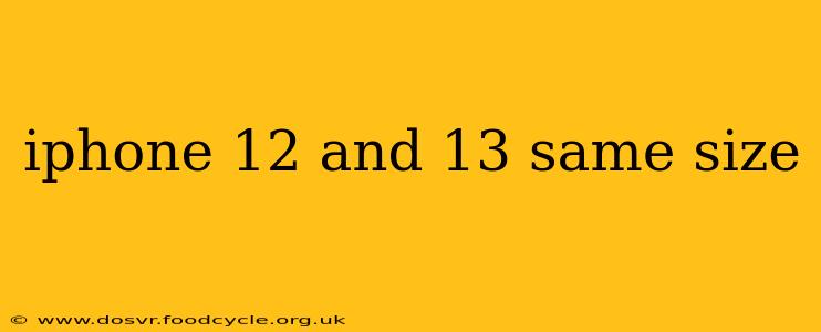 iphone 12 and 13 same size