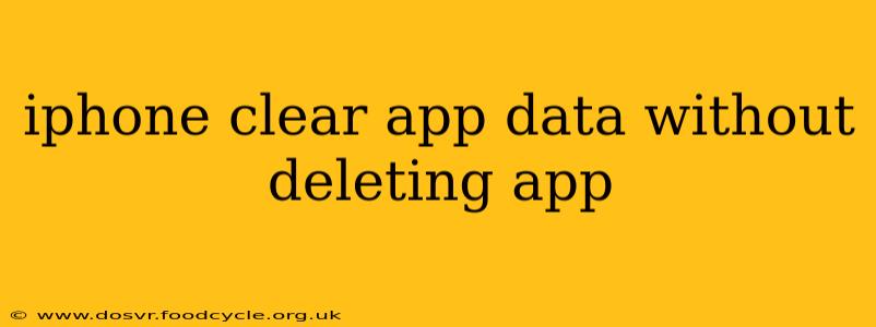 iphone clear app data without deleting app