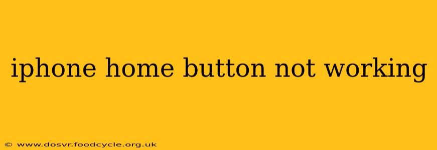 iphone home button not working