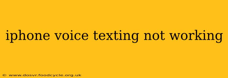 iphone voice texting not working