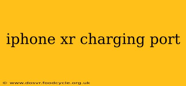 iphone xr charging port