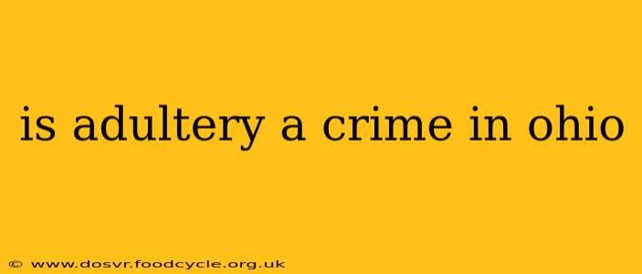 is adultery a crime in ohio