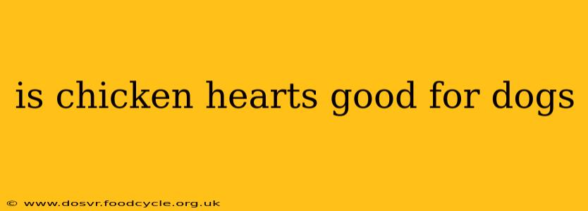 is chicken hearts good for dogs