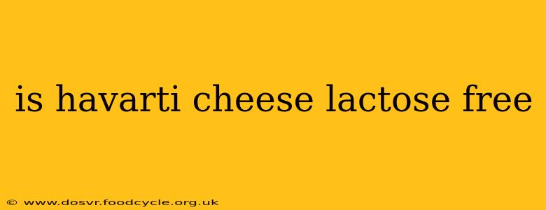 is havarti cheese lactose free