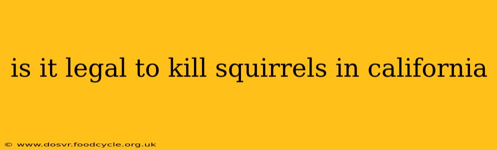 is it legal to kill squirrels in california