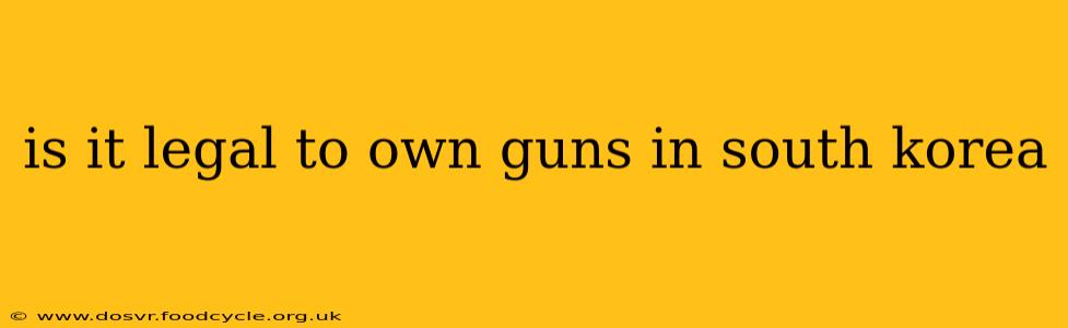 is it legal to own guns in south korea