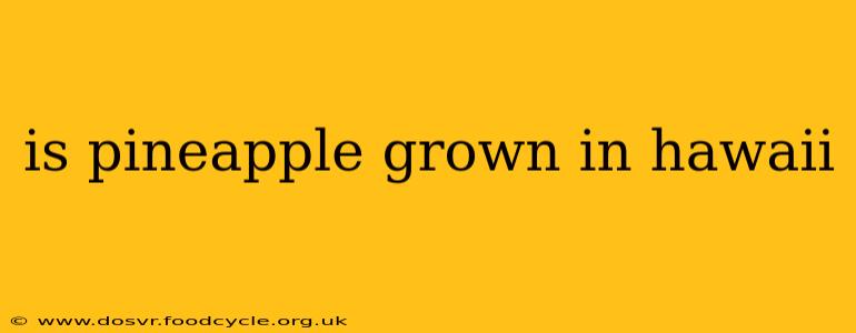 is pineapple grown in hawaii