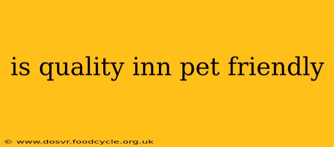 is quality inn pet friendly