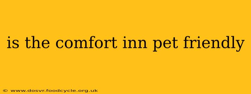 is the comfort inn pet friendly
